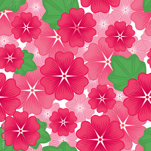 Lavater flowers seamless pattern