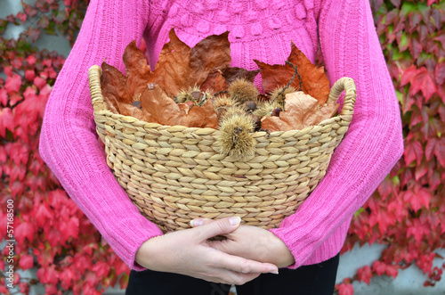 Autumn chestnuts and leaves in the basket