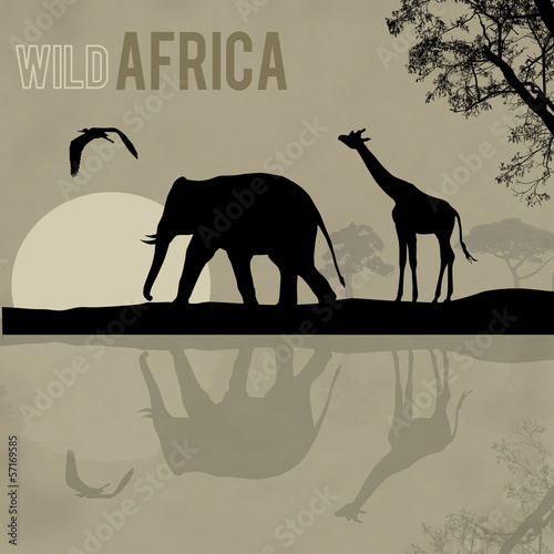Wild Africa poster