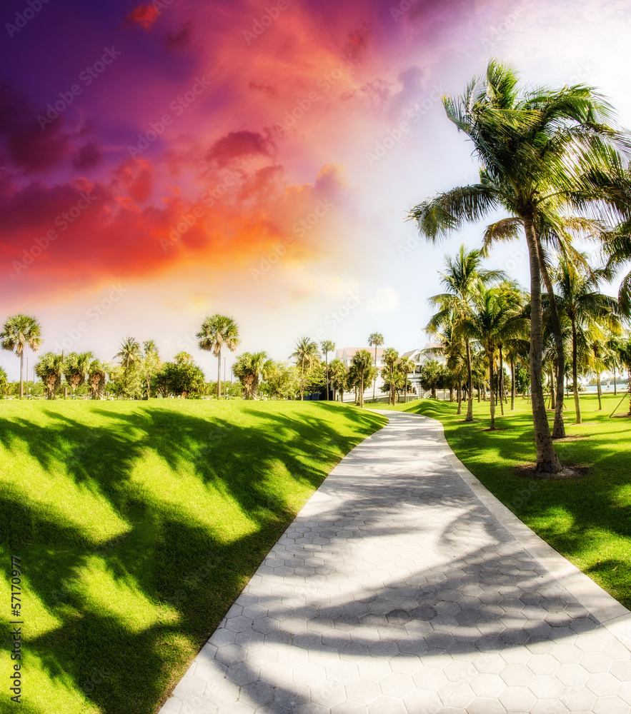 Obraz premium Walkway inside a beautiful park
