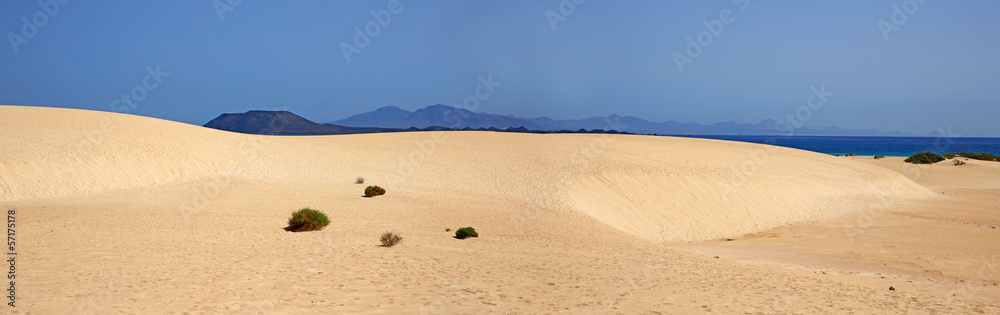 panorama sur les dunes et océan des îles canaries panorama sur les dunes et océan des îles canaries