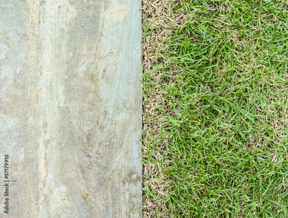 concrete floor and grass ground