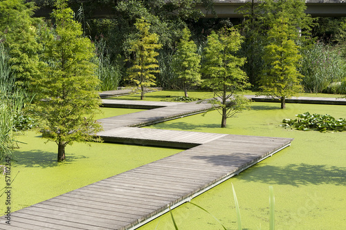 Beautiful green city park in Grugapark Essen photo