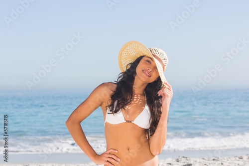 Relaxed attractive dark haired woman wearing straw hat posing