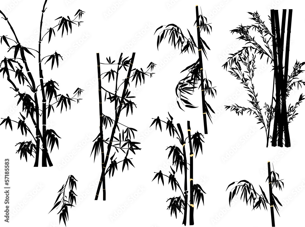 Naklejka premium isolated bamboo plant silhouettes collection