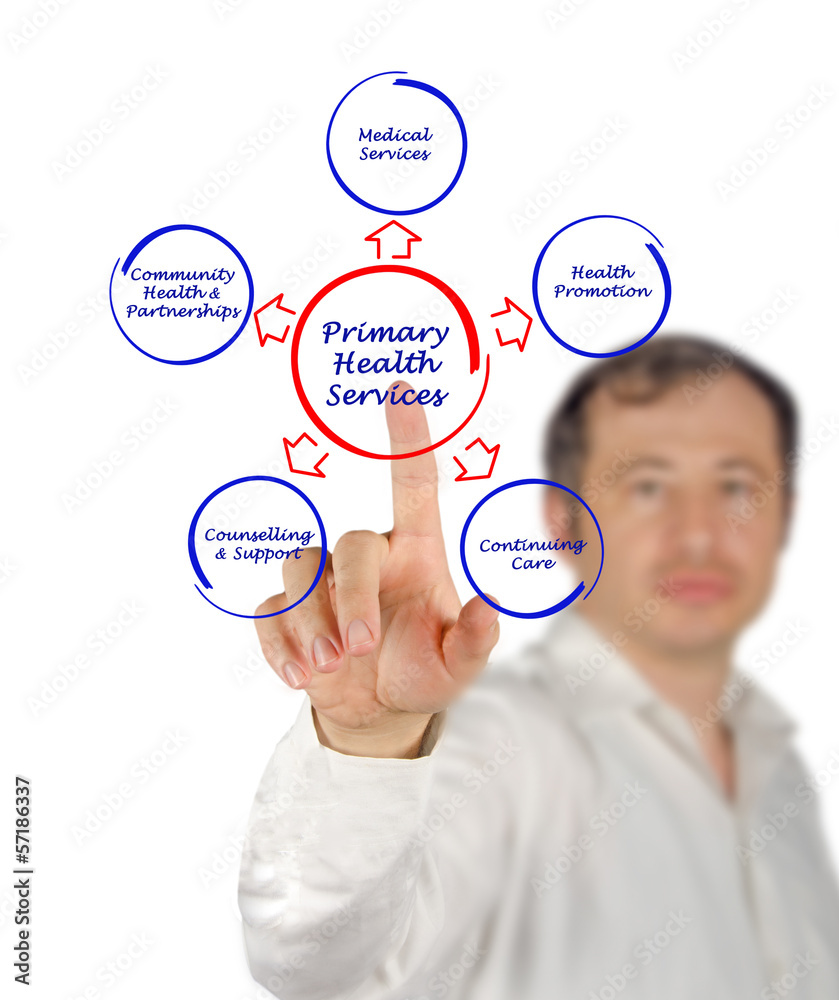 primary health service primary health service