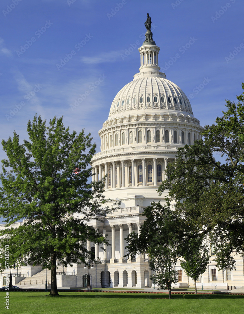 Obraz premium United States Capitol, Washington DC