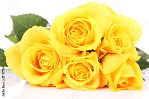 Yellow roses on white background