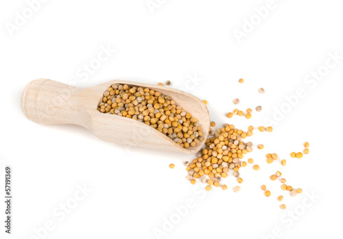 mustard seeds in a wooden scoop