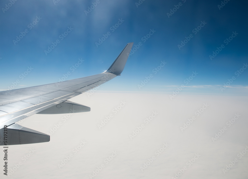 Fototapeta premium flying
