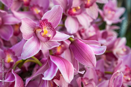 Purples bouquet of orchids. Floral pattern.