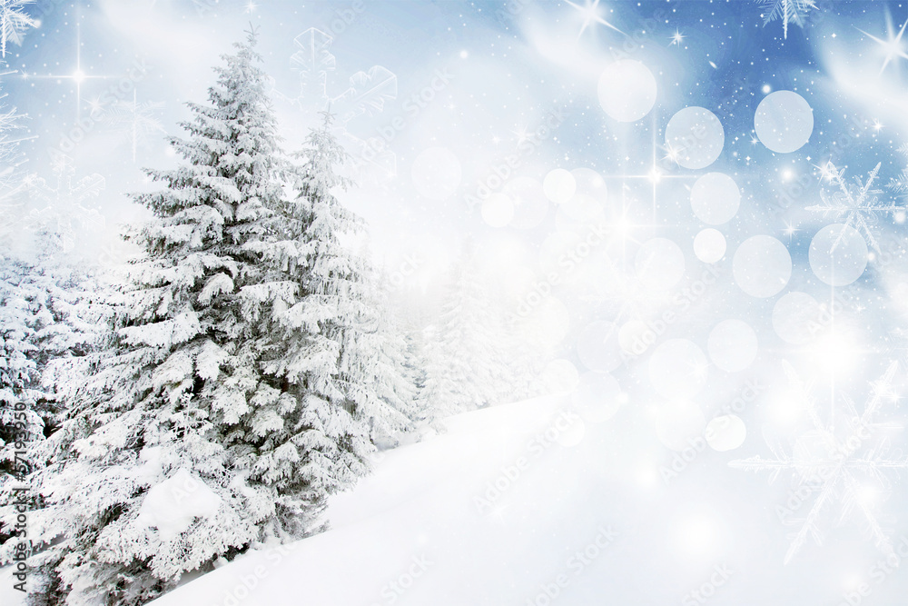 Christmas background with snowy firs Christmas background with snowy firs