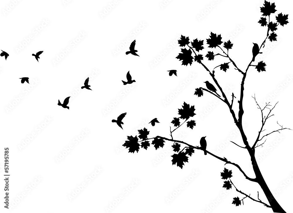 autumn tree silhouette with birds flying - obrazy, fototapety, plakaty 