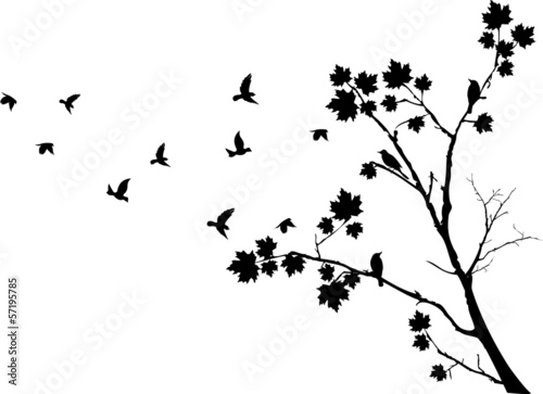 autumn tree silhouette with birds flying