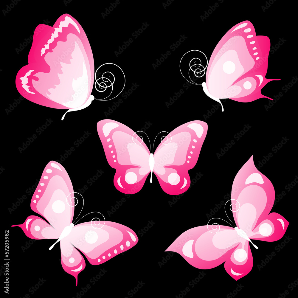 butterflies design butterflies design