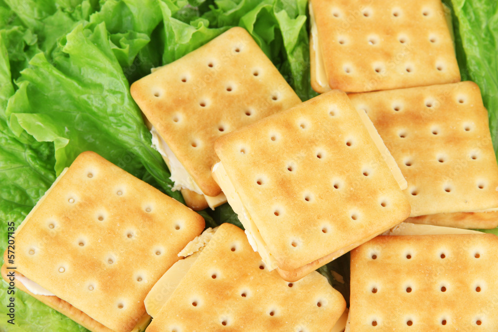 Sandwich crackers with cheese clothe up
