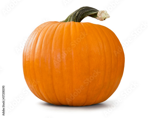 pumpkin Fototapet