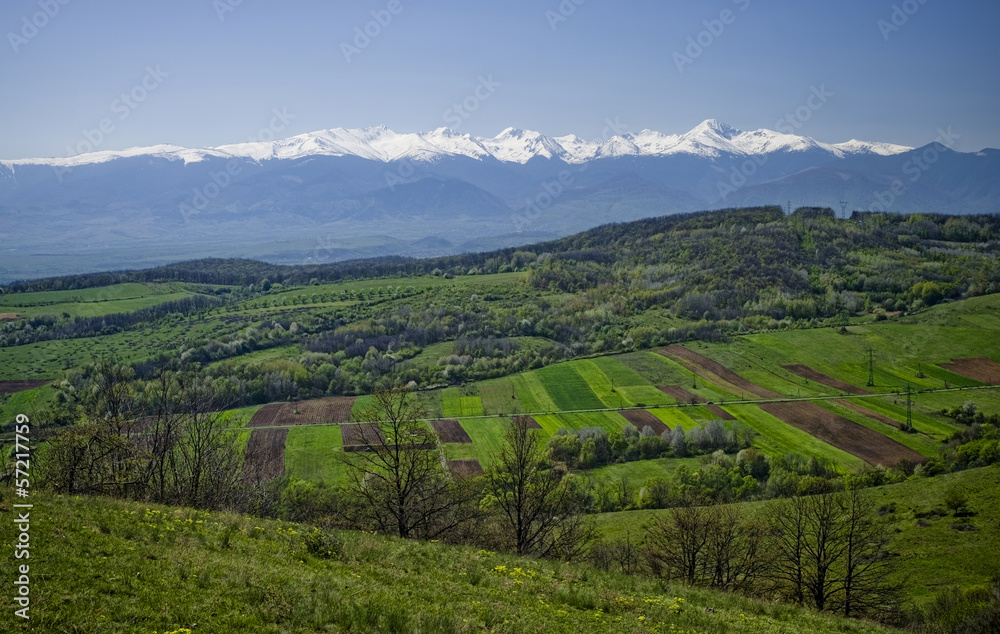 fresh landscape