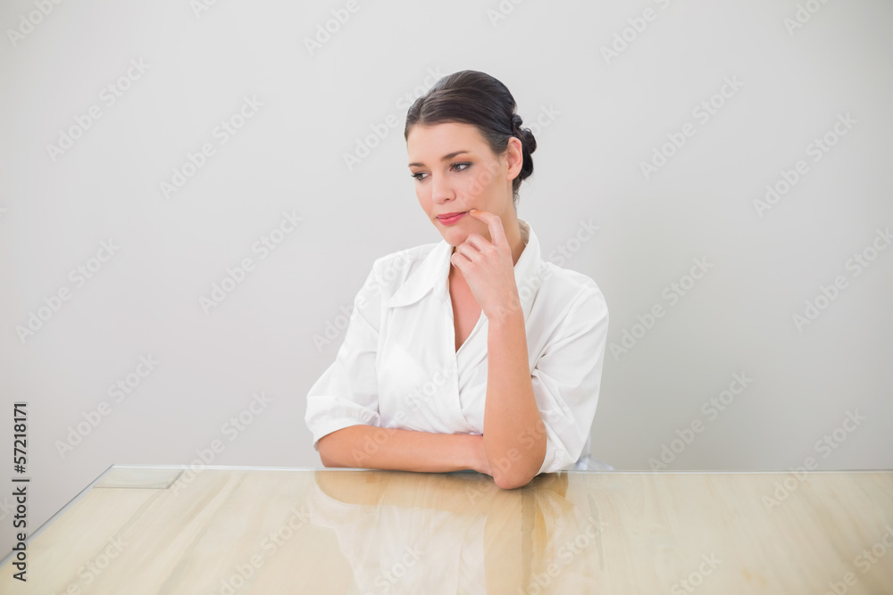 Pretty brunette businesswoman posing Pretty brunette businesswoman posing