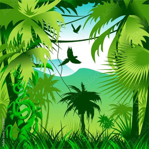 jungle