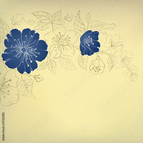 Blue sakura flowers on a vintage background photo