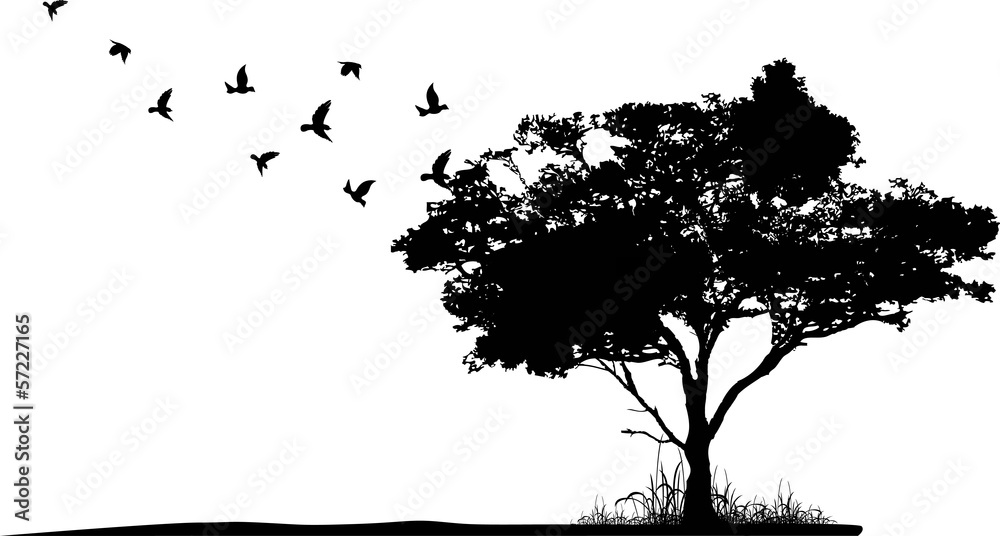 Naklejka sylwetka drzewa z ptaszki