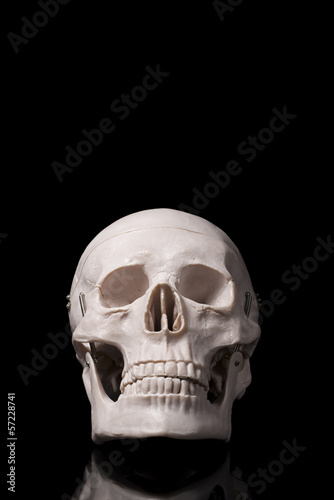 黒背景に頭蓋骨の模型