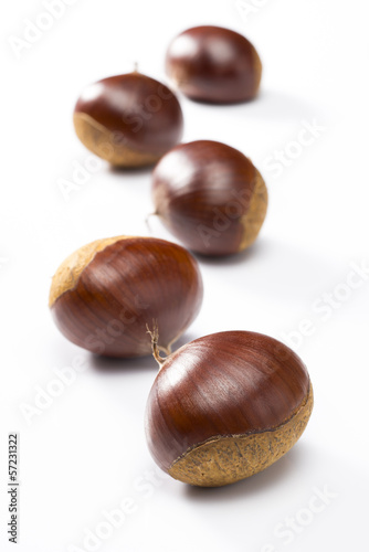 白背景に複数の栗の実