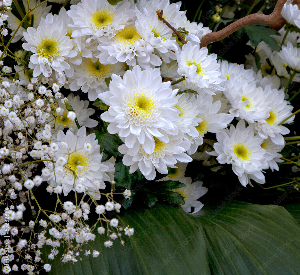 Obraz premium A bouquet of flowers.