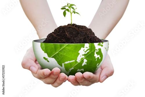 Sapling on pile and butterfly on hand