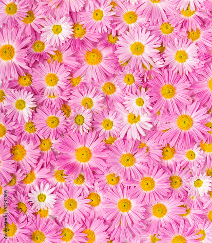 Pink and yellow flowers background