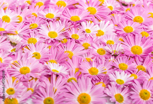 Pink and yellow flowers background