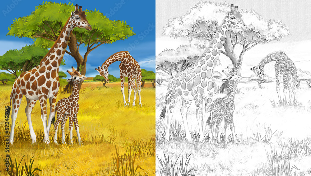 Fototapeta premium Cartoon giraffe - coloring page - illustration