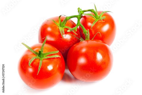 Closeup of tomatoes on the vine isolated on white.