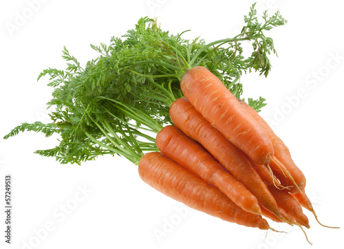 carottes bio avec fanes