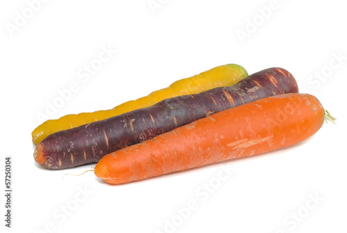 carottes aux couleurs panachées