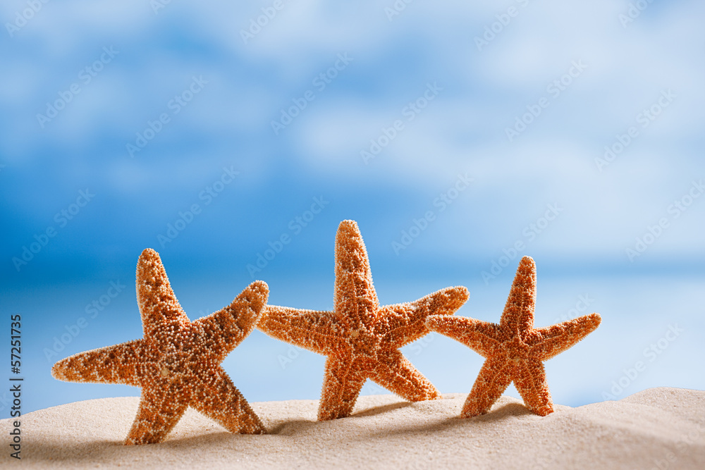 three starfish with ocean , beach and seascape three starfish with ocean , beach and seascape