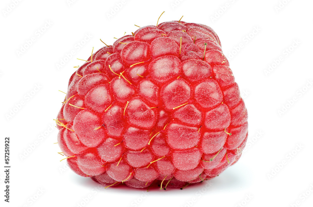 Raspberry Raspberry