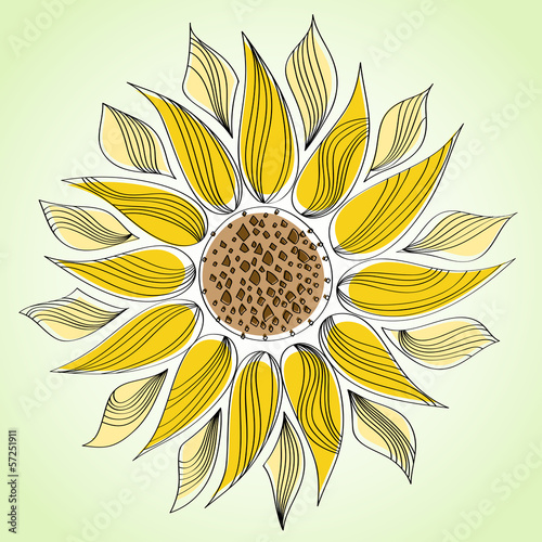 Fototapeta Naklejka Na Ścianę i Meble -  Abstract line sunflower