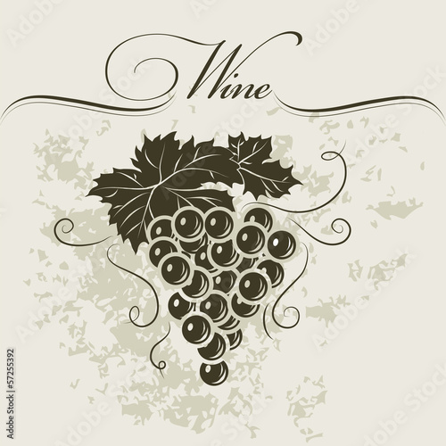 Bunch of grapes for labels of wine
