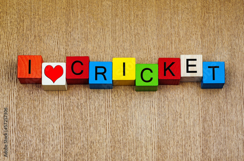 I love cricket - sign for sports