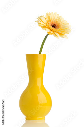 Fototapeta Naklejka Na Ścianę i Meble -  Gerbera.