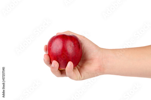 Hand holds red apple.