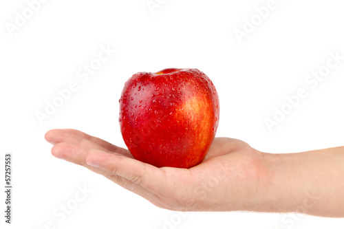 Hand holds red apple.