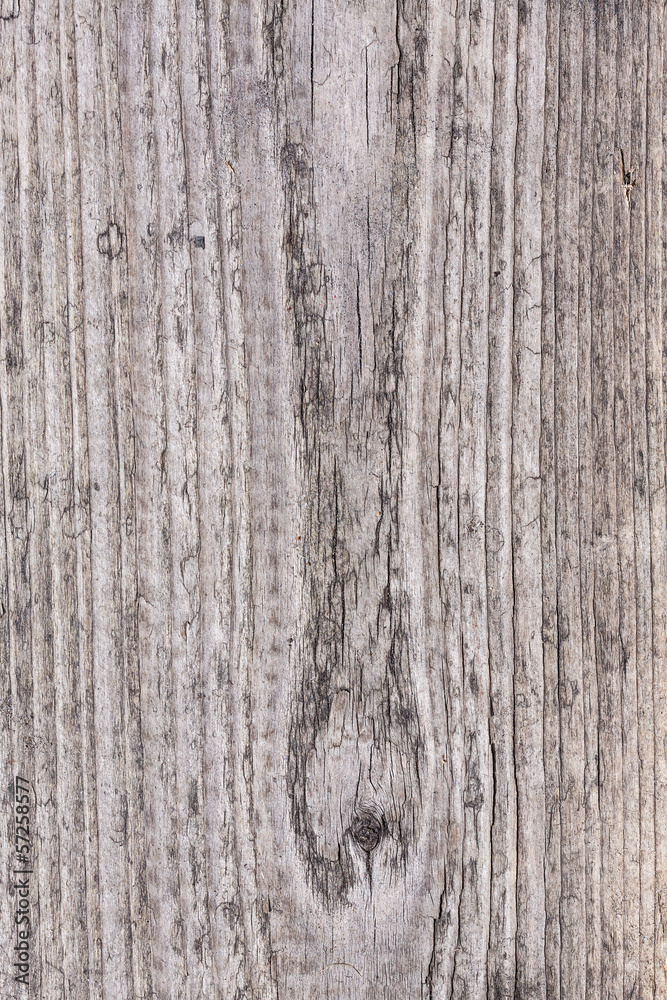Closeup pine wood textured background