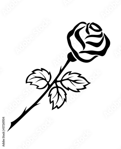 rose1610a