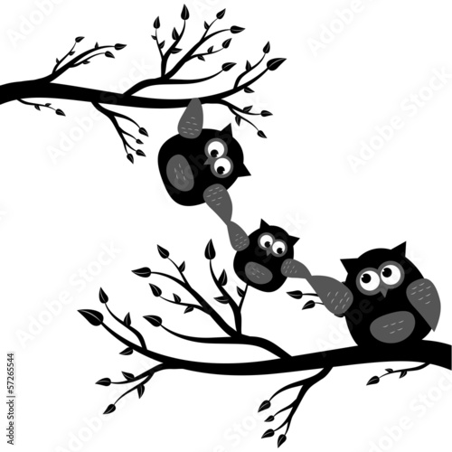 Eule Ast Blätter Liebe Familie