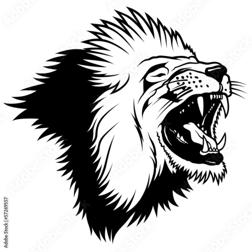 Fototapeta Naklejka Na Ścianę i Meble -  Lion Head