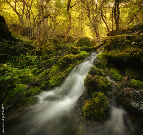 river through colorful fore...