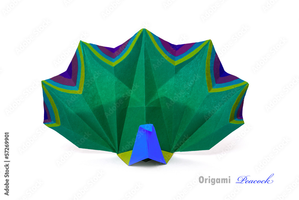 Fototapeta premium Peacock bird